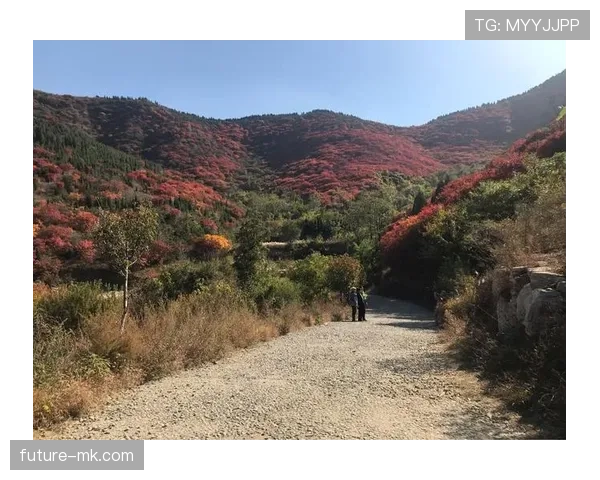 不来梅控球强势复苏，状态回暖开启胜利征程
